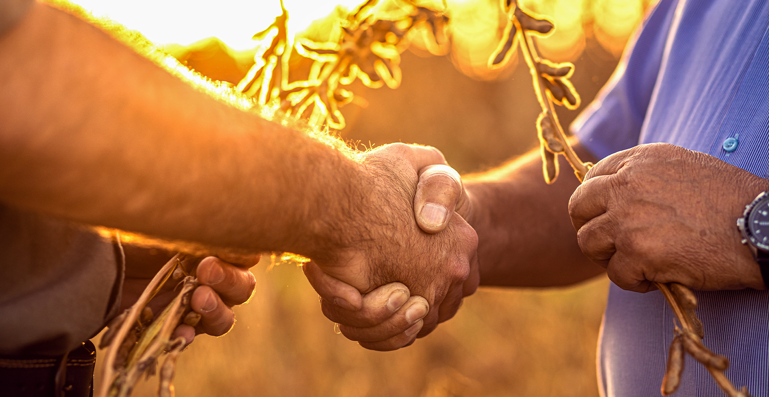 Agronegócio em Mato Grosso: quais impostos podem ser reduzidos hoje?