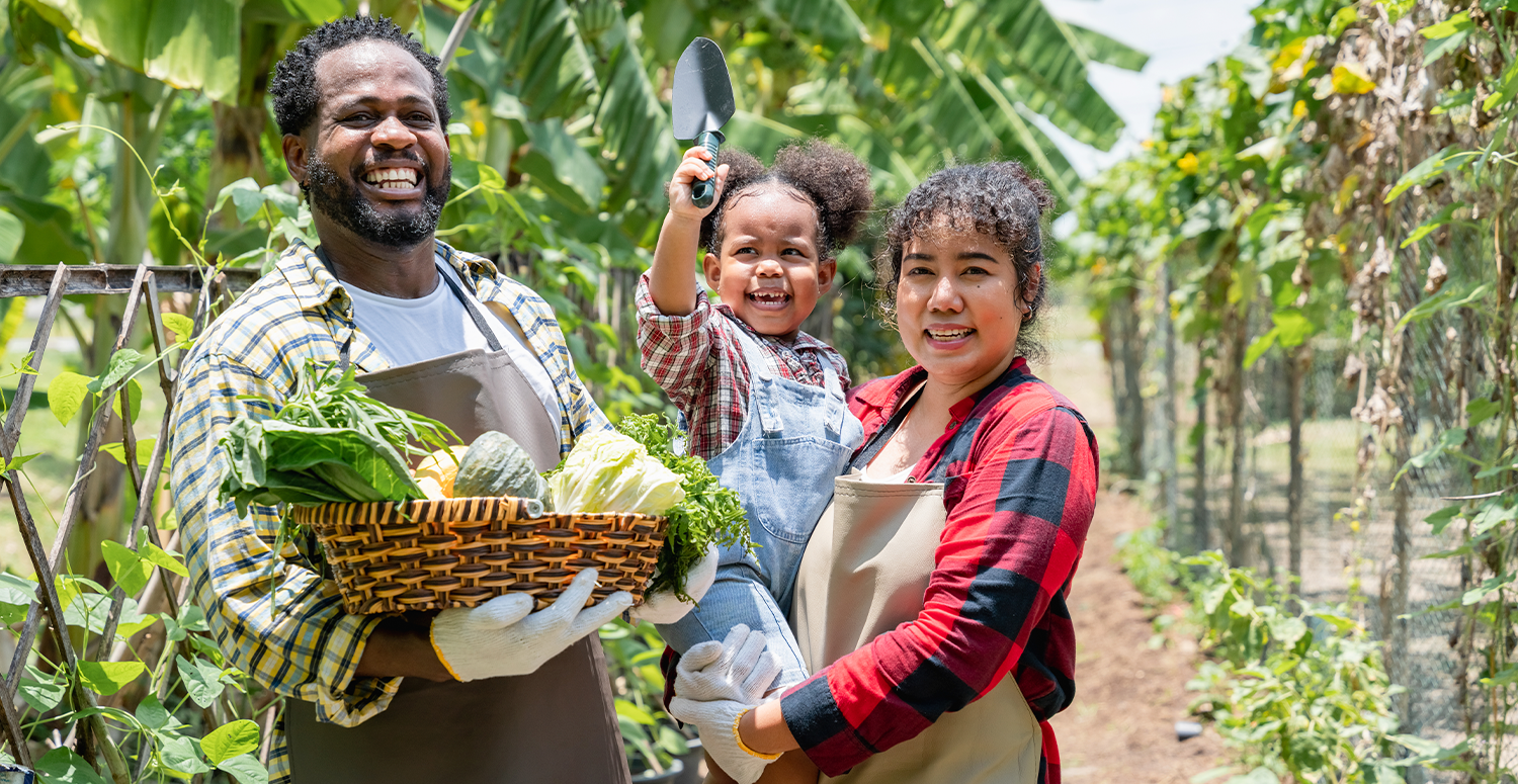 Pronaf oferece bônus de até 67% em parcelas para agricultores familiares em julho de 2025