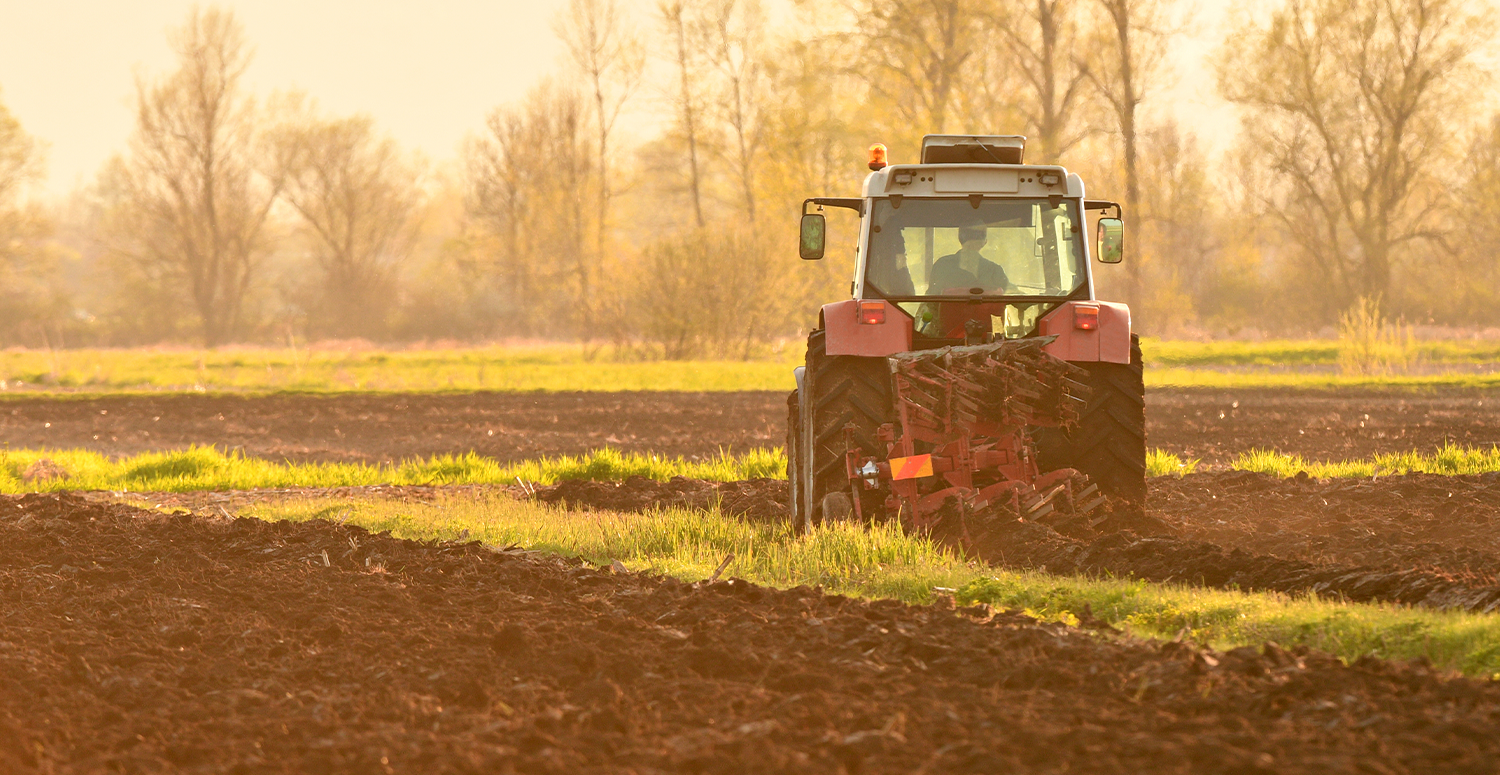LCA, LCI, CRI e CRA: entenda o que são e como funcionam