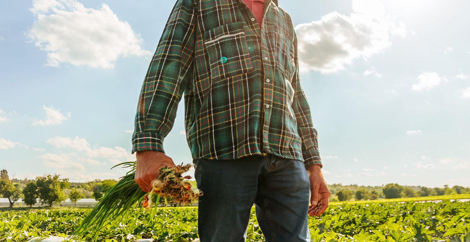 Paraná adia exigência de nota fiscal eletrônica para produtores rurais