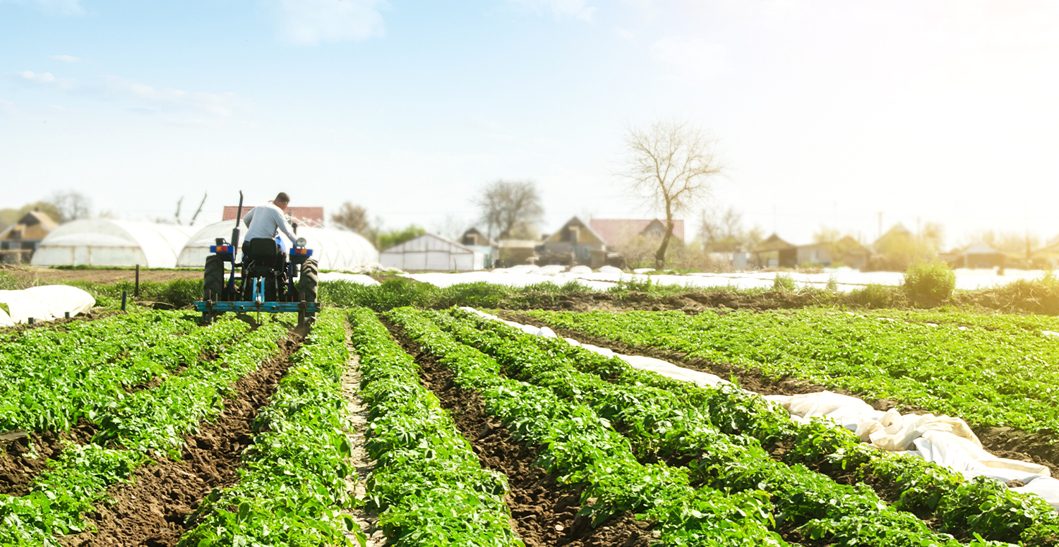 Receita Federal detalha obrigatoriedades, formas de envio e multas para quem não entregar DITR no prazo