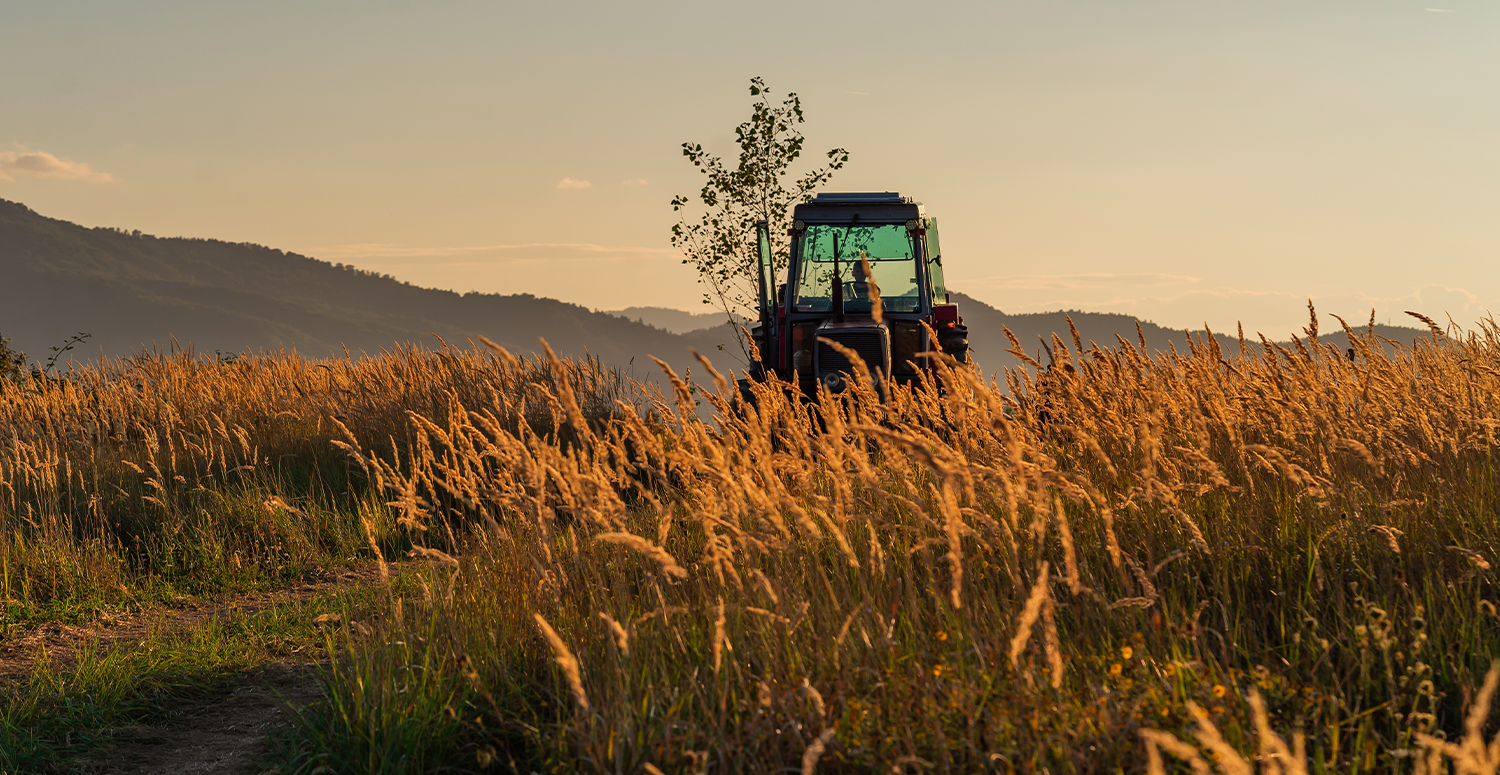 Receita já recebeu 1,3 milhão de declarações do ITR 2025