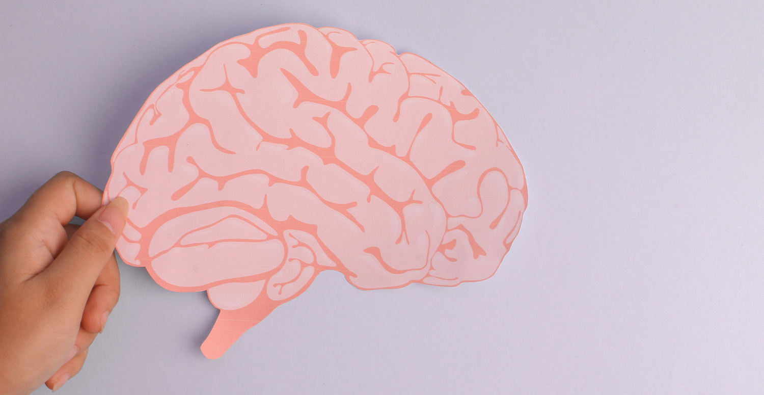 Saiba como seu cérebro contábil pode virar imortal