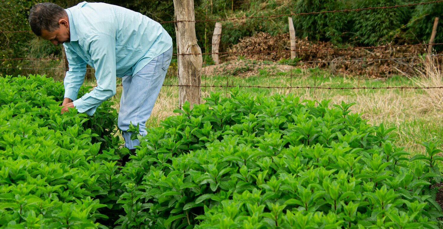 Prazo final para entrega da DITR é nesta terça-feira (30)