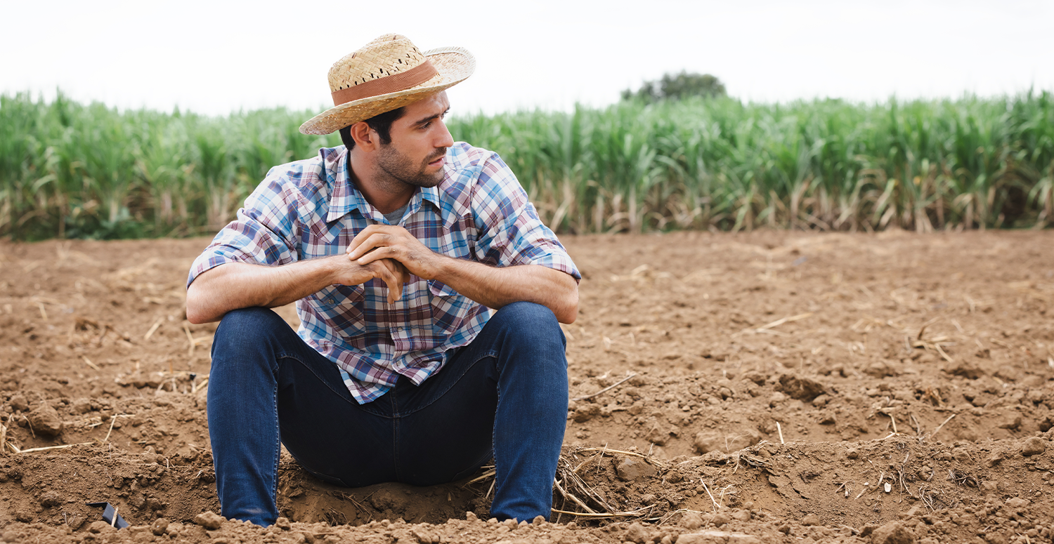 Receita Federal esclarece que melhorias no ITR não criam “malha fina”